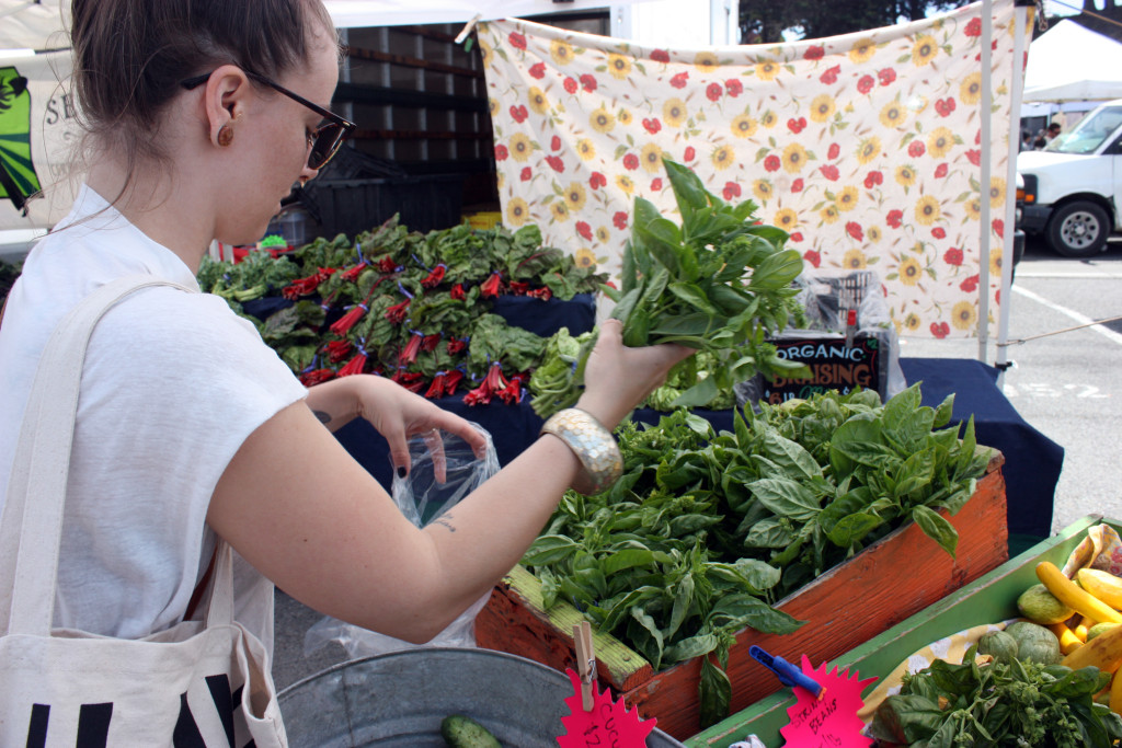 Farmers Market 2015